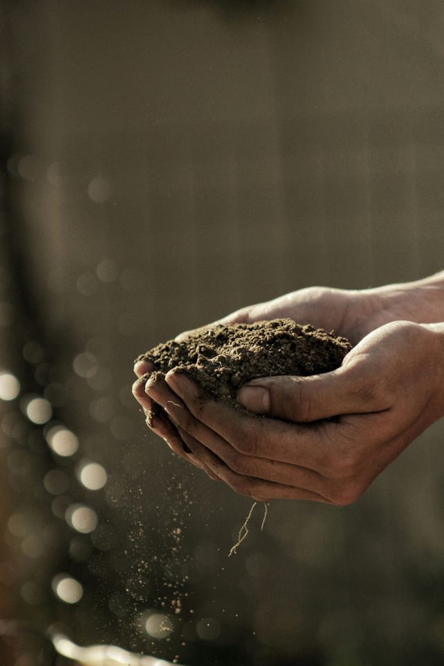 Zukunft der Landwirtschaft im Kreis Soest – Einladung zur öffentlichen Diskussionsveranstaltung.